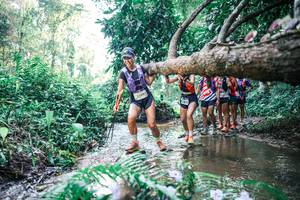 BIB: 
                            <button type="button" onclick="openModal(25444931)" class="btn btn-primary btn-sm float-right btn-popup" data-toggle="modal" data-target=".modal-high-quality">
                        <i class="fas fa-shopping-cart"></i> Add to Cart
                    </button>
                                            <button type="button" onclick="isThisMe(25444931, true)" class="btn btn-success btn-sm float-right btn-popup btn-isme hidden" data-toggle="tooltip" data-placement="bottom" title="นี่คือรูปของคุณใช่ไหม คลิกที่นี่เพื่อเอาเข้าอัลบั้ม">
                        <i class="fas fa-plus"></i> Add to album
                    </button>
                    <button type="button" onclick="isThisMe(25444931, false)" class="btn btn-warning btn-sm float-right btn-popup btn-isnotme hidden">
                        <i class="fas fa-ban"></i> Remove from album
                    </button>